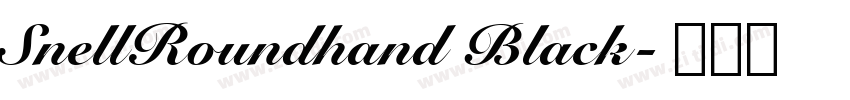 SnellRoundhand Black字体转换